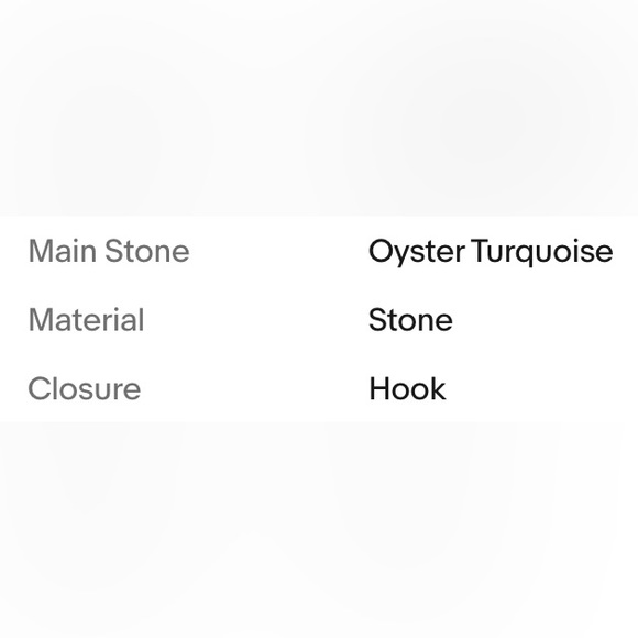 OYSTER TURQUOISE EARRINGS - Picture 5 of 7